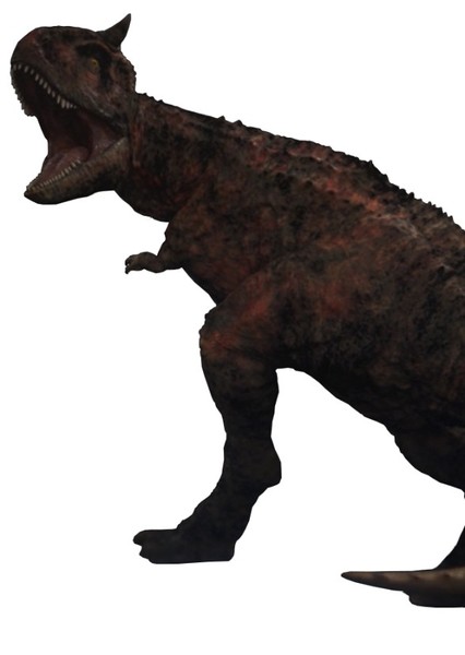Carnotaurus photo