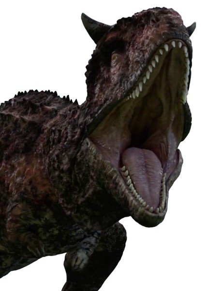 Carnotaurus photo