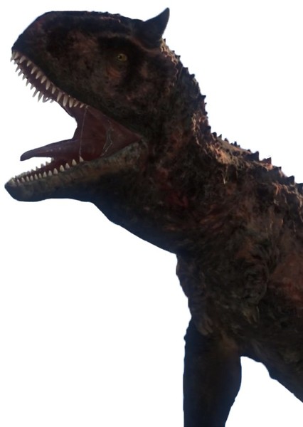 Carnotaurus photo