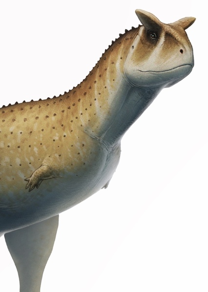 Carnotaurus photo