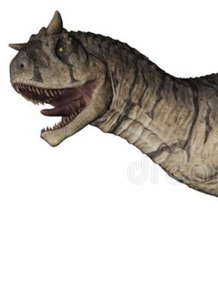 Carnotaurus photo