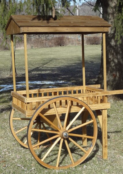 Carts photo