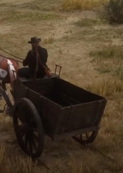Carts photo