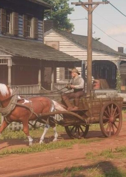 Carts photo