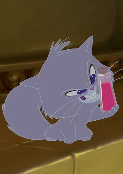 Cat Yzma photo