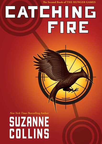 Catching Fire (book)