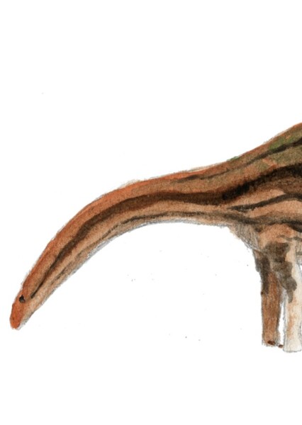 Cathartesaura