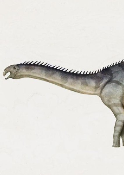 Cathartesaura photo