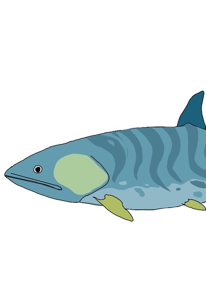Caturus