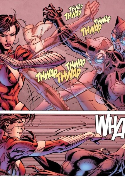 Catwoman and Lady Shiva