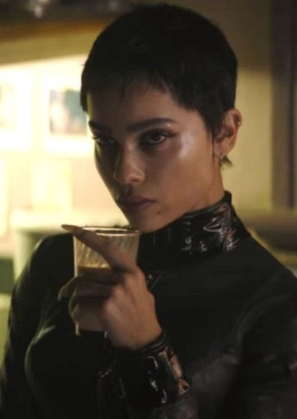 Catwoman (Matt Reeves Universe) photo