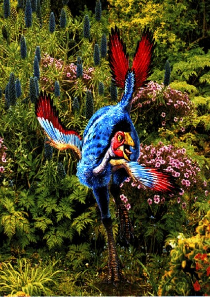 Caudipteryx photo