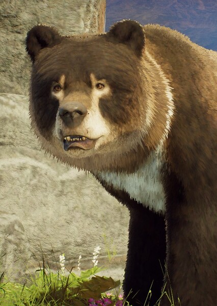Cave Bear photo