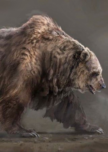 Cave Bear photo