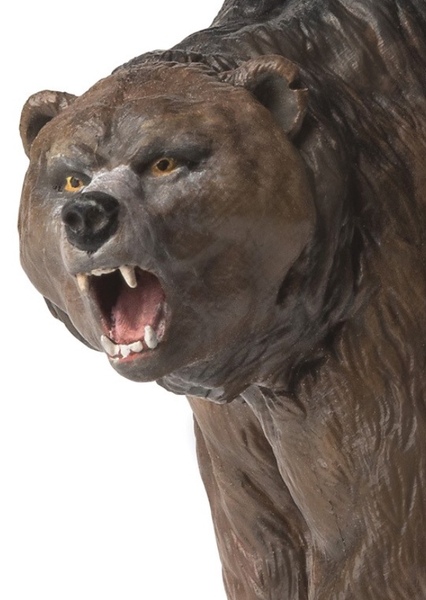Cave Bear