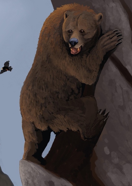 Cave Bear photo