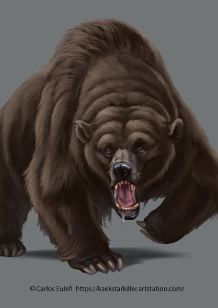Cave Bear photo