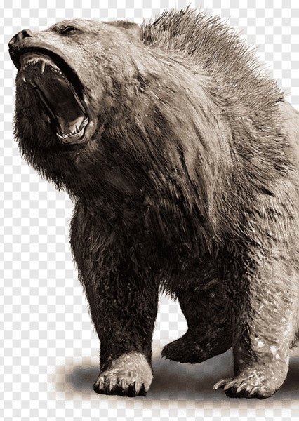 Cave Bear photo