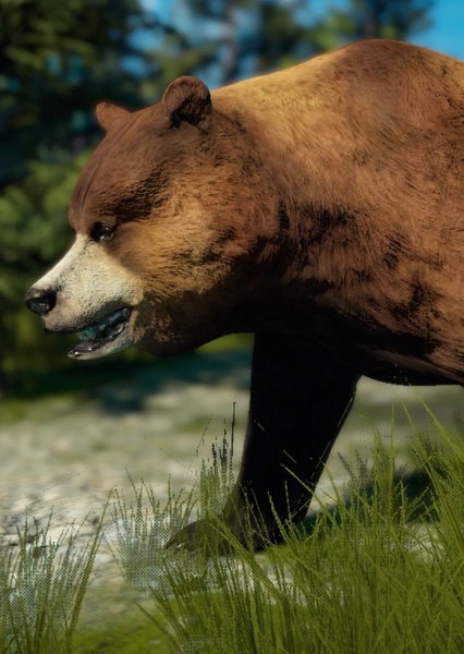 Cave Bear photo