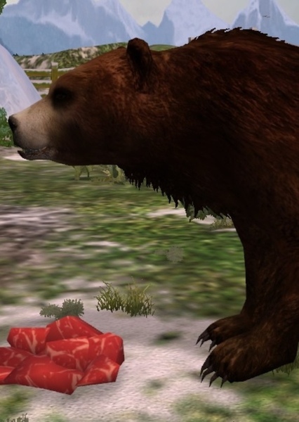 Cave Bear photo