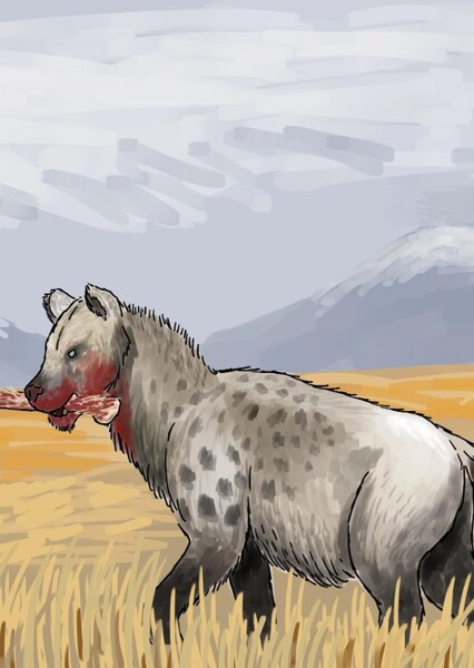 Cave Hyena photo