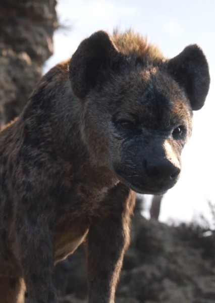 Cave Hyena photo