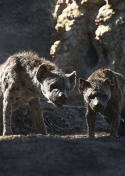Cave Hyena