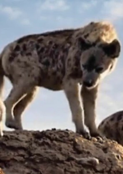 Cave Hyena photo