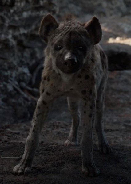 Cave Hyena photo