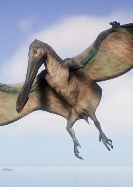 Cearadactylus photo