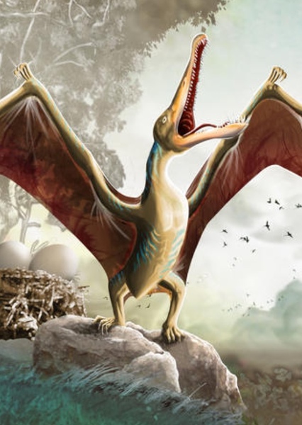 Cearadactylus photo