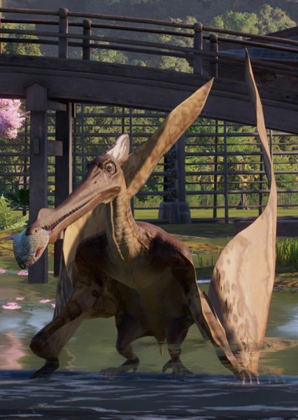 Cearadactylus
