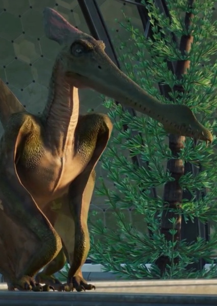 Cearadactylus