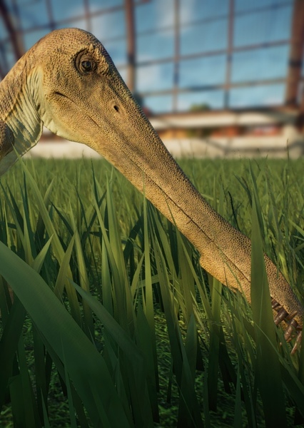 Cearadactylus photo