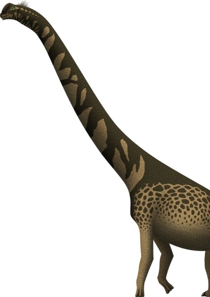 Cedarosaurus