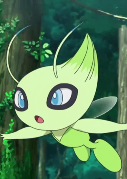 Celebi photo