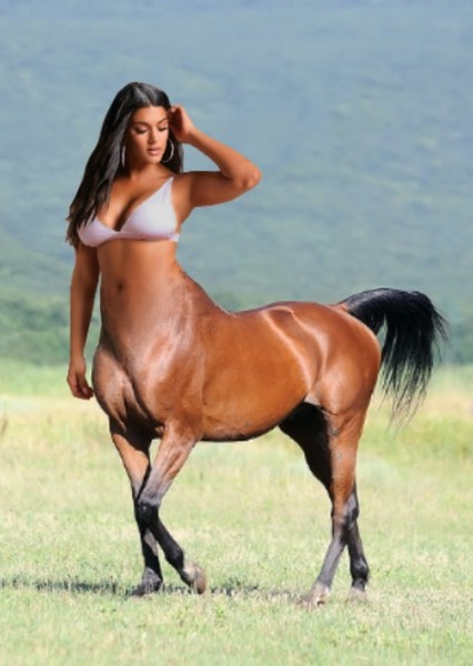 Centaur photo