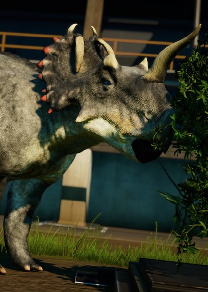 Centrosaurus photo