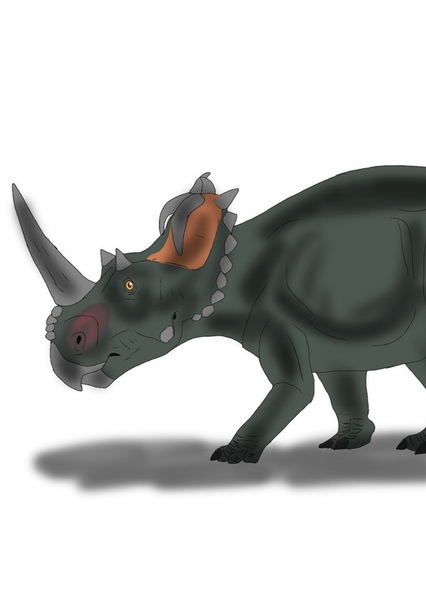 Centrosaurus photo
