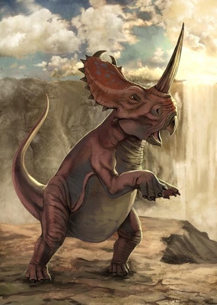 Centrosaurus photo