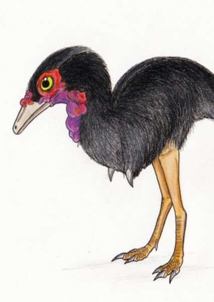 Ceratonykus