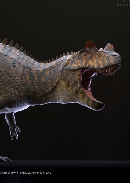 Ceratosaurus photo