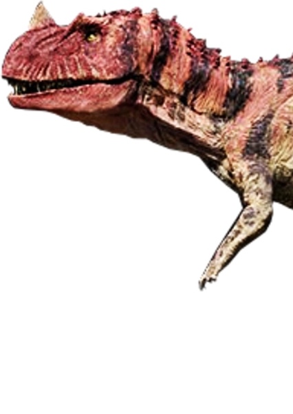 Ceratosaurus photo