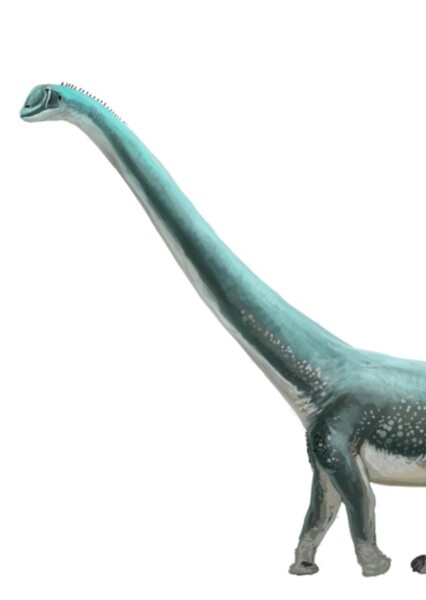 Cetiosauriscus photo