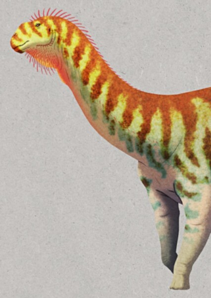 Cetiosaurus