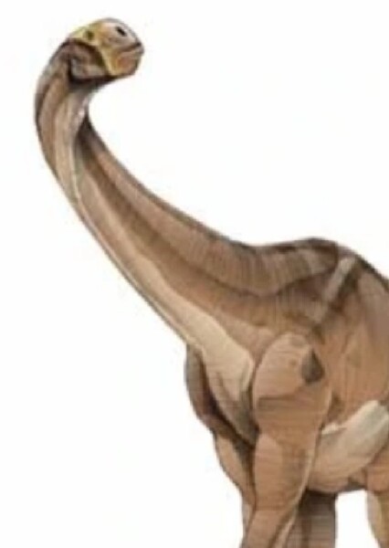 Cetiosaurus (Jurassic Park Institute)