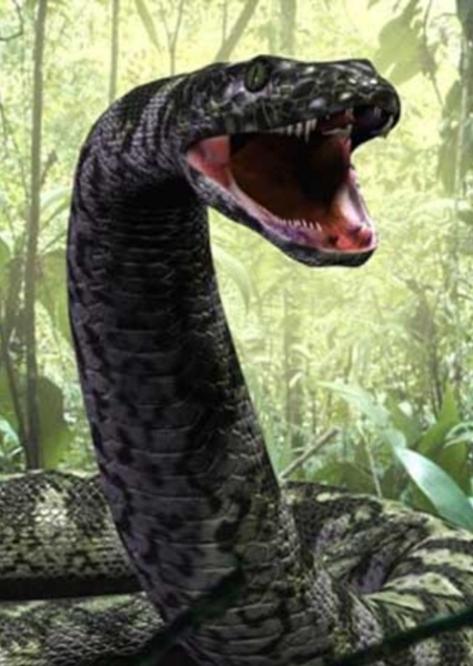 CGI photo