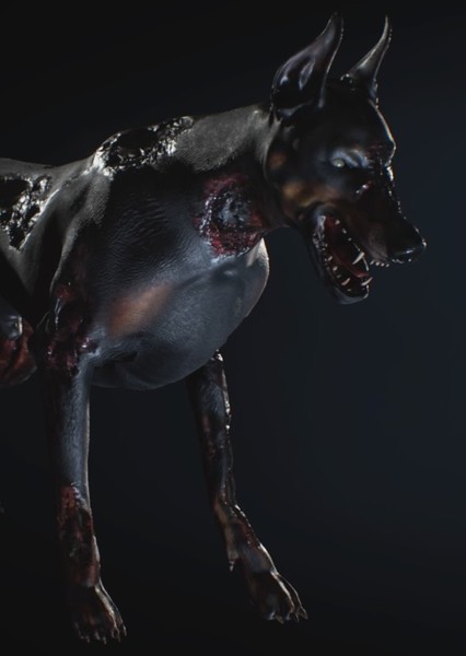 CGI/Special Effects photo