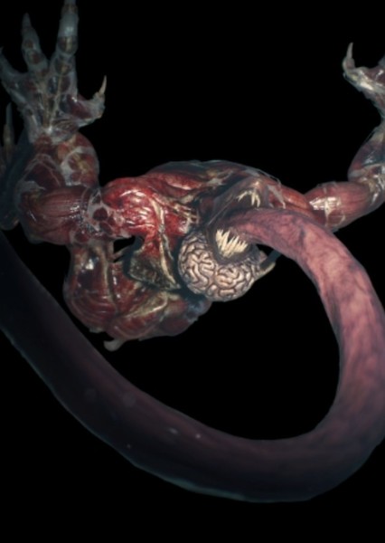 CGI/Special Effects photo
