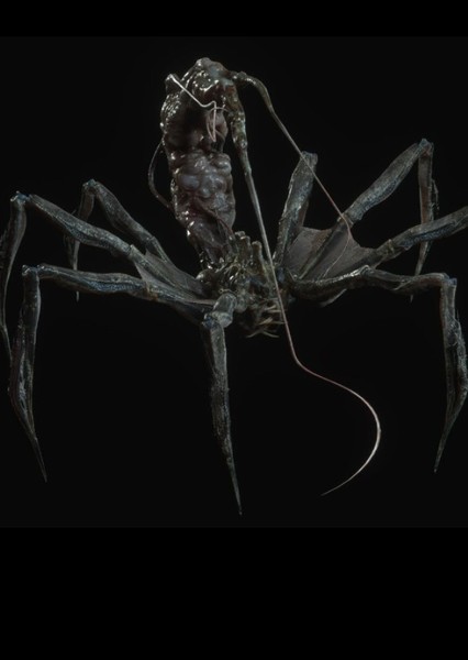 CGI/Special Effects photo